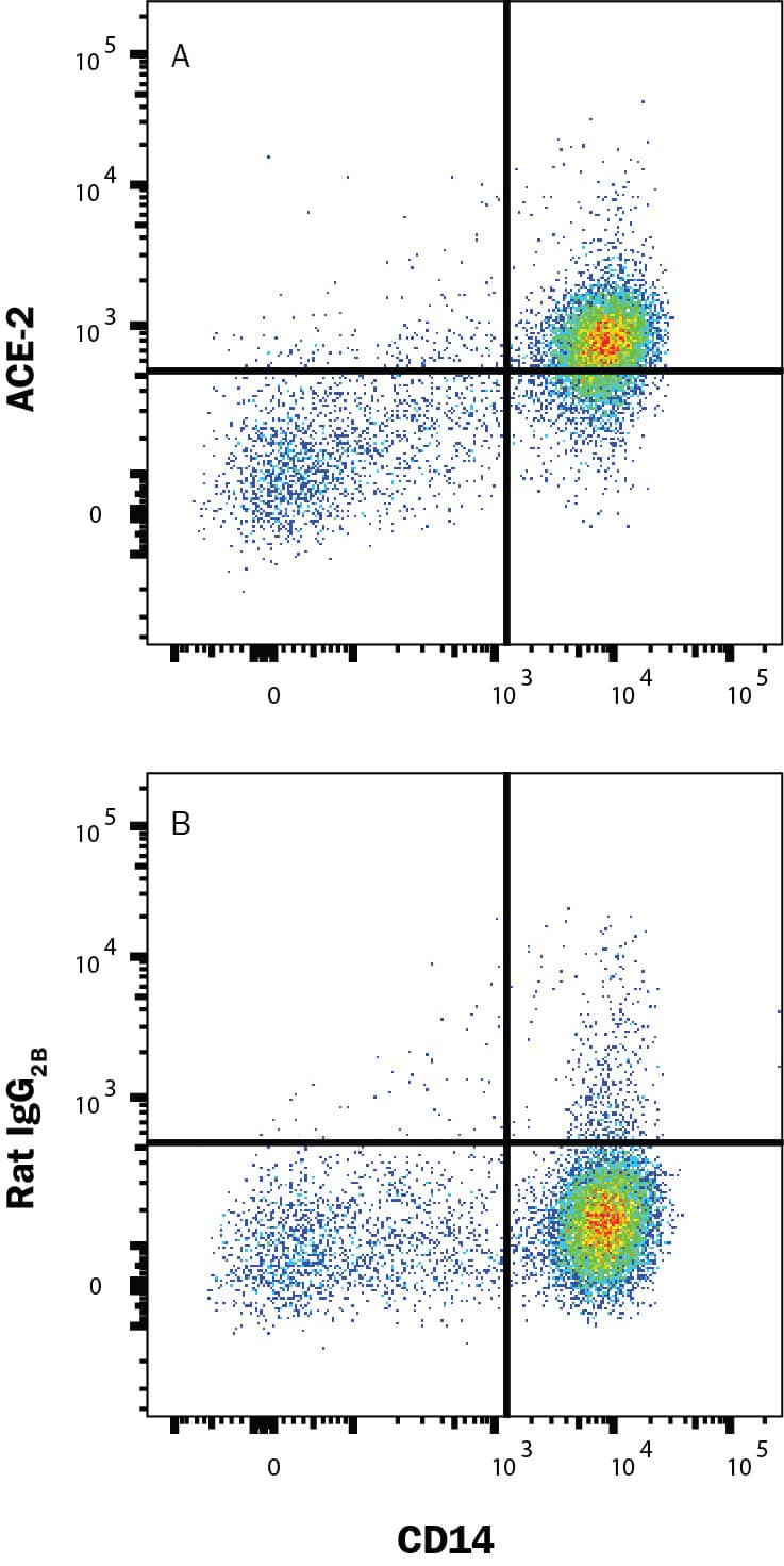 Human PBMC were stained with (A) Rat Anti-Human ACE-2 Monoclonal Antibody (Catalog # MAB9334) or (B) Rat IgG2b Isotype Control Antibody (MAB0061) followed by Allophycocyanin-conjugated Anti-Rat IgG Secondary Antibody (F0113) and Mouse anti-Human CD14 Phycoerythrin-conjugated Monoclonal Antibody (FAB3832P). Staining was performed using our Staining Membrane-associated Proteins protocol.