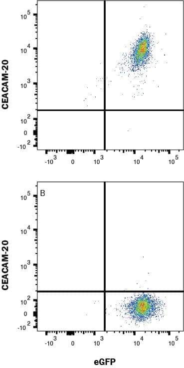 HEK293 human embryonic kidney cell line transfected with (A) human CEACAM-20 or (B) irrelevant protein, and eGFP was stained with Mouse Anti-Human CEACAM-20 Monoclonal Antibody (Catalog # MAB9416) followed by Allophycocyanin-conjugated Anti-Mouse IgG Secondary Antibody (F0101B). Quadrant markers were set based on control antibody staining (MAB002). Staining was performed using our Staining Membrane-associated Proteins protocol.