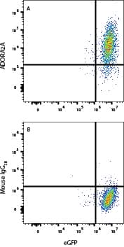 Flow Cytometry Adenosine A2aR/A2bR Antibody (826037) [Unconjugated]