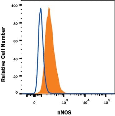 Neuro-2A mouse neuroblastoma cell line was stained with Mouse Anti-Human/Mouse nNOS Monoclonal Antibody (Catalog # MAB24161, filled histogram) or isotype control antibody (Catalog # MAB002, open histogram), followed by Allophycocyanin-conjugated Anti-Mouse IgG Secondary Antibody (Catalog # F0101B). To facilitate intracellular staining, cells were fixed with Flow Cytometry Fixation Buffer (Catalog # FC004) and permeabilized with Flow Cytometry Permeabilization/Wash Buffer I (Catalog # FC005). View our protocol for Staining Intracellular Molecules.