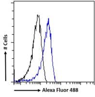 Flow Cytometry: Goat Polyclonal ADAM8 Antibody [NB100-1017] - Flow cytometric analysis of paraformaldehyde fixed Caco-2 cells (blue line), permeabilized with 0.5% Triton. Primary incubation 1hr (10ug/ml) followed by Alexa Fluor 488 secondary antibody (1ug/ml). IgG control: Unimmunized goat IgG (black line) followed by Alexa Fluor 488 secondary antibody.