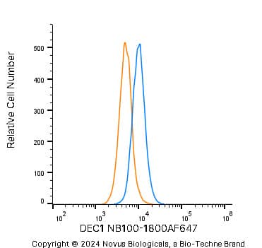 An intracellular stain was performed on A431 human skin carcinoma cell line using Rabbit anti-DEC1 Affinity Purified Polyclonal Antibody conjugated to Alexa Fluor® 647 (Catalog # NB100-1800AF647, blue histogram) or matched control antibody (Catalog # NBP2-24981AF647, orange histogram) at 2.5 µg/mL for 30 minutes at RT.