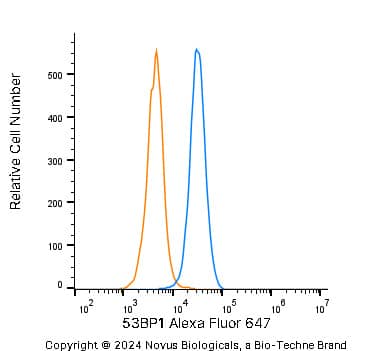 An intracellular stain was performed on U-2 OS human osteosarcoma cell line with Rabbit anti-53BP1 Affinity Purified Polyclonal Antibody conjugated to Alexa Fluor ® 647 (Catalog # NB100-304AF647, blue histogram) or matched control antibody (Catalog # NBP2-24981AF647, orange histogram) at 2.5 µg/mL for 30 minutes at RT. 