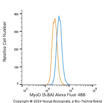 An intracellular stain was performed on SJCRH30 human Rhabdomyosarcoma cell line with Mouse anti- MyoD (5.8A) Protein-G purified Monoclonal Antibody conjugated to Alexa Fluor® 488 (Catalog # NB100-56511AF488, blue histogram) or matched control antibody (orange histogram) at 10 µg/mL for 30 minutes at RT.