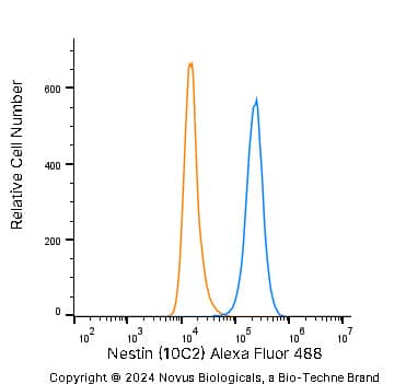 An intracellular stain was performed on SJCRH30 human Rhabdomyosarcoma cell line with Mouse anti-Nestin (10C2) Protein-G purified Monoclonal Antibody conjugated to Alexa Fluor® 488 (Catalog # NB300-266AF488, blue histogram) or matched control antibody (orange histogram) at 5 µg/mL for 30 minutes at RT.