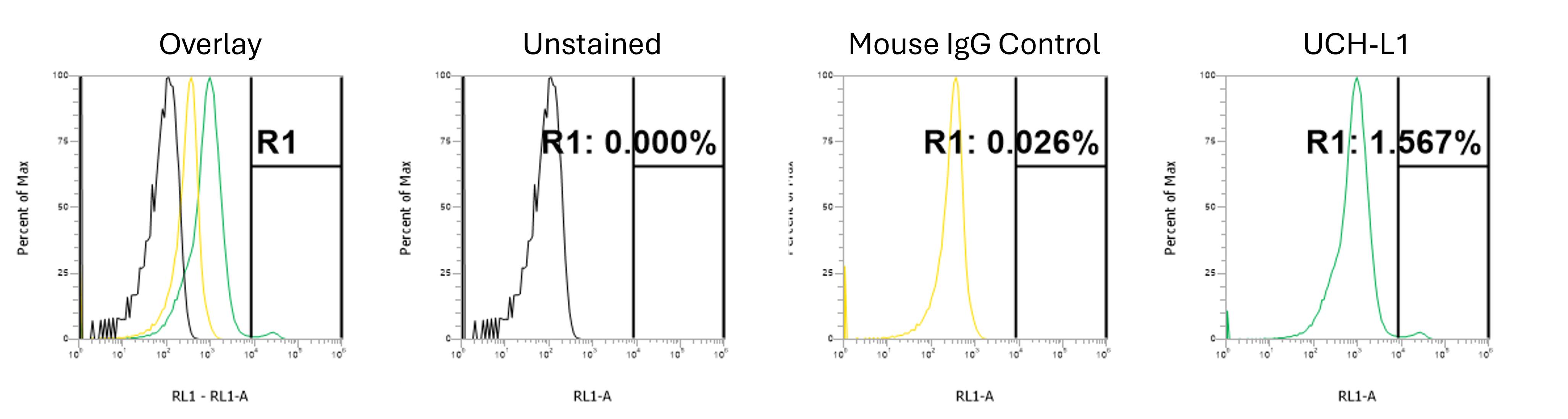 Flow Cytometry UCH-L1/PGP9.5 Antibody (31A3)