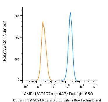 An intracellular stain was performed on A431 human skin carcinoma cell line using Mouse anti-LAMP-1/CD107a (H4A3) Protein-G purified Monoclonal Antibody conjugated to DyLight 550 (Catalog # NBP2-25183R, blue histogram) or matched control antibody (orange histogram) at 2.5 µg/mL for 30 minutes at RT.