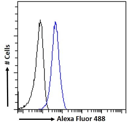 Flow Cytometry: Goat Polyclonal PIM2 Antibody [NBP2-26114] - Flow cytometric analysis of paraformaldehyde fixed HeLa cells (blue line), permeabilized with 0.5% Triton. Primary incubation 1hr (10ug/ml) followed by Alexa Fluor 488 secondary antibody (1ug/ml). IgG control: Unimmunized goat IgG (black line) followed by Alexa Fluor 488 secondary antibody.