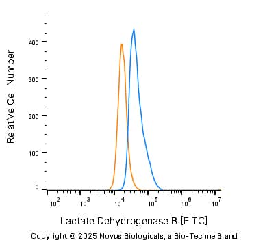 An intracellular stain was performed on SJCRH30 human Rhabdomyosarcoma cell line with Rabbit anti-Lactate Dehydrogenase B Affinity-purified Polyclonal Antibody conjugated to FITC (Catalog # NBP2-53421F, blue histogram) or matched control antibody (NBP2-24892, orange histogram) at 10 µg/mL for 30 minutes at RT.