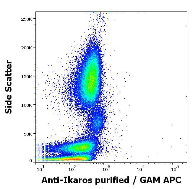 Flow Cytometry: Mouse Monoclonal Ikaros/IKZF1 Antibody (4E9) [NBP3-09111] - Flow cytometry intracellular staining pattern of human peripheral whole blood stained using anti-Ikaros (4E9) purified antibody (concentration in sample 8 ug/ml, GAM APC).