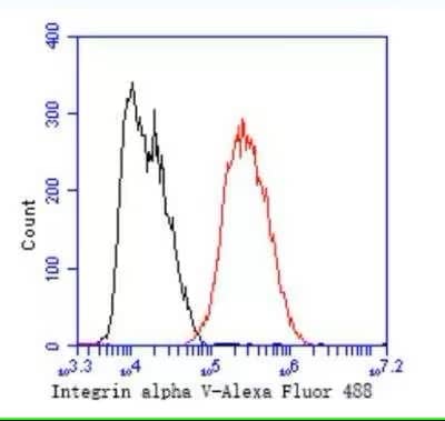 Analysis of Integrin alpha V was done on MCF-7 cells. The cells were fixed, permeabilized and stained with the primary antibody (1/50) (red). After incubation of the primary antibody at room temperature for an hour, the cells were stained with a Alexa Fluor 488-conjugated Goat anti-Rabbit IgG Secondary antibody at 1/1000 dilution for 30 minutes. Unlabelled sample was used as a control (cells without incubation with primary antibody; black).