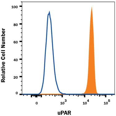 Human peripheral blood granulocytes were stained with Mouse Anti-Human uPAR PE-conjugated Monoclonal Antibody (Catalog # FAB807P, filled histogram) or isotype control antibody (Catalog # IC002P, open histogram). View our protocol for Staining Membrane-associated Proteins.