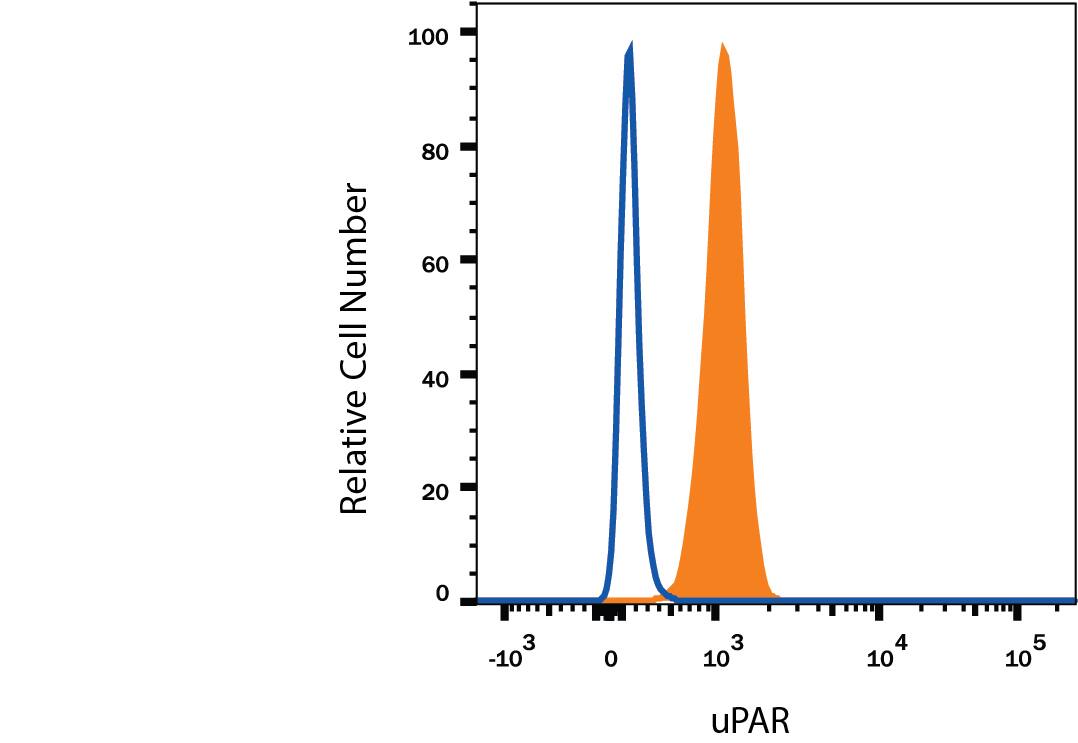 Human peripheral blood granulocytes were stained with Mouse Anti-Human uPAR Alexa Fluor® 594-conjugated-conjugated Monoclonal Antibody (Catalog # FAB807T, filled histogram) or isotype control antibody (Catalog # IC002T, open histogram). View our protocol for Staining Membrane-associated Proteins.