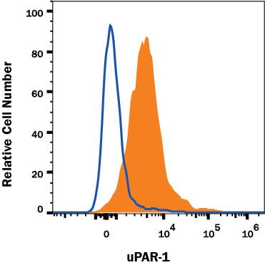 Mouse whole blood monocytes were stained with Rat Anti-Mouse uPAR Monoclonal Antibody (Catalog # MAB531, filled histogram) or isotype control antibody (Catalog # MAB006, open histogram) followed by anti-Rat IgG PE-conjugated Secondary Antibody (Catalog # F0105B). View our protocol for Staining Membrane-associated Proteins.