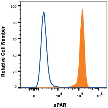 Human peripheral blood granulocytes were stained with Mouse Anti-Human uPAR Monoclonal Antibody (Catalog # MAB807, filled histogram) or isotype control antibody (Catalog # MAB002, open histogram), followed by Phycoerythrin-conjugated Anti-Mouse IgG Secondary Antibody (Catalog # F0102B). View our protocol for Staining Membrane-associated Proteins.