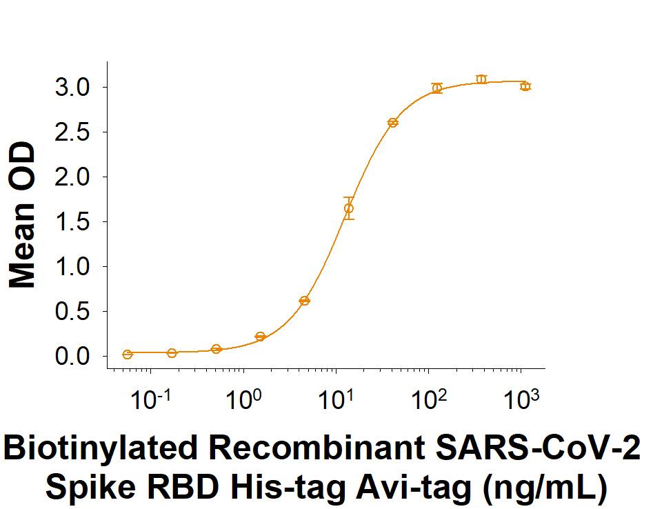Biotinylated Recombinant SARS-CoV-2 Spike RBD His-tag Avi-tag (Catalog # AVI10500) binds Recombinant Human ACE-2 Fc Chimera (10544-ZN) in a functional ELISA.