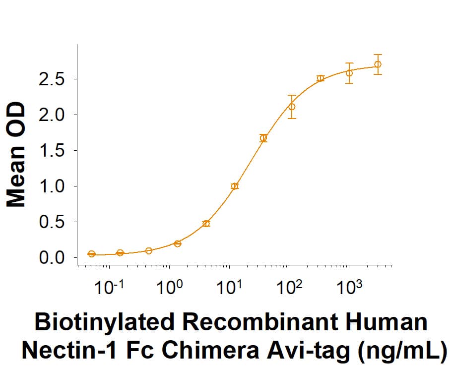 When Recombinant Human Nectin-3 Protein (3064-N3) is immobilized at 0.5 μg/mL, 100 μL/well, the concentration of Biotinylated Recombinant Human Nectin‑1 Fc Chimera Avi-tag (Catalog # AVI10697) that produces 50% of the optimal binding response is approximately 6.0-40 ng/mL.