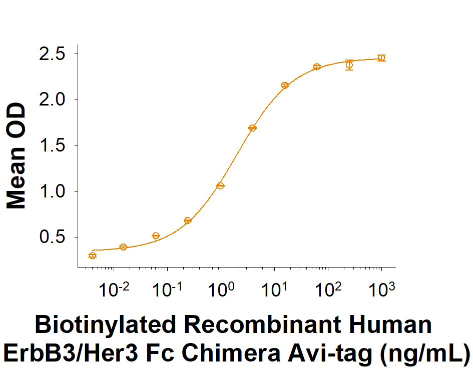 Binding Activity ErbB3/Her3 [Biotin]