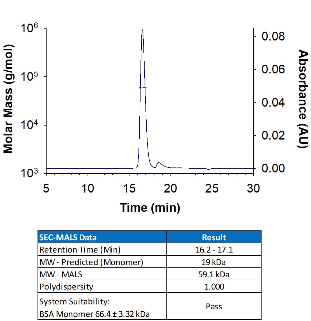 Biotinylated Recombinant Human TNF‑ alpha  Avi-tag Protein (Catalog # AVI10728) has a molecular weight (MW) of 59.1, as analyzed by SEC-MALS, suggesting that this protein exists as a homotrimer.