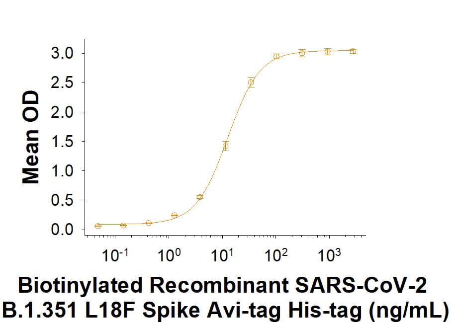 Biotinylated Recombinant SARS-CoV-2 B.1.351 L18F Spike GCN4-IZ Avi-tag His-tag (Catalog # AVI10785) binds Recombinant Human ACE-2 Fc Chimera (10544-ZN) in a functional ELISA.