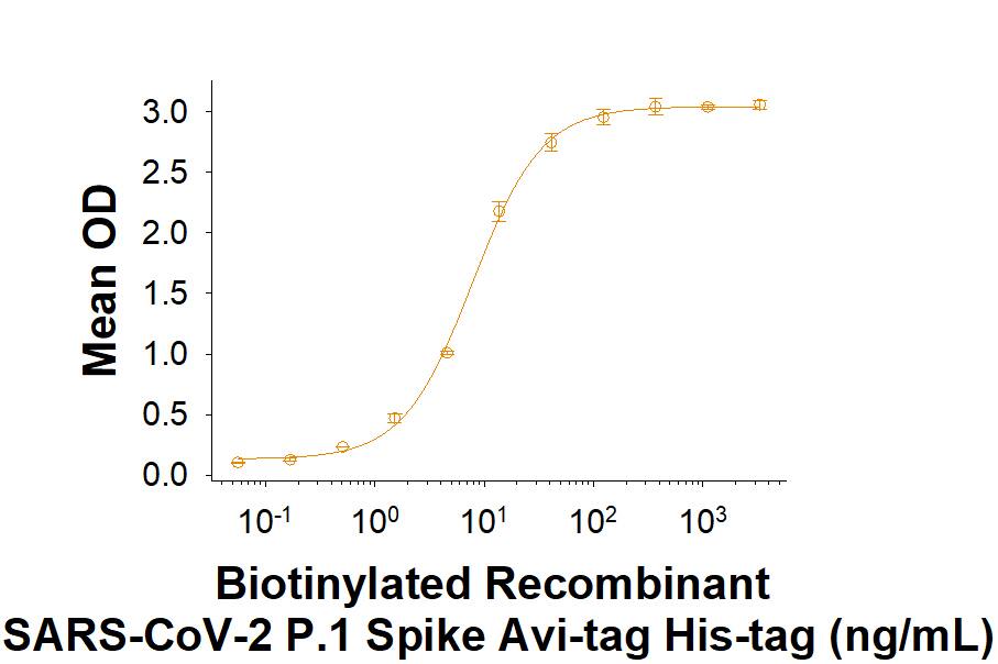 Biotinylated Recombinant SARS-CoV-2 P.1 Spike (GCN4-IZ) Avi-tag His-tag (Catalog # AVI10795) binds Recombinant Human ACE-2 Fc Chimera (10544-ZN) in a functional ELISA.