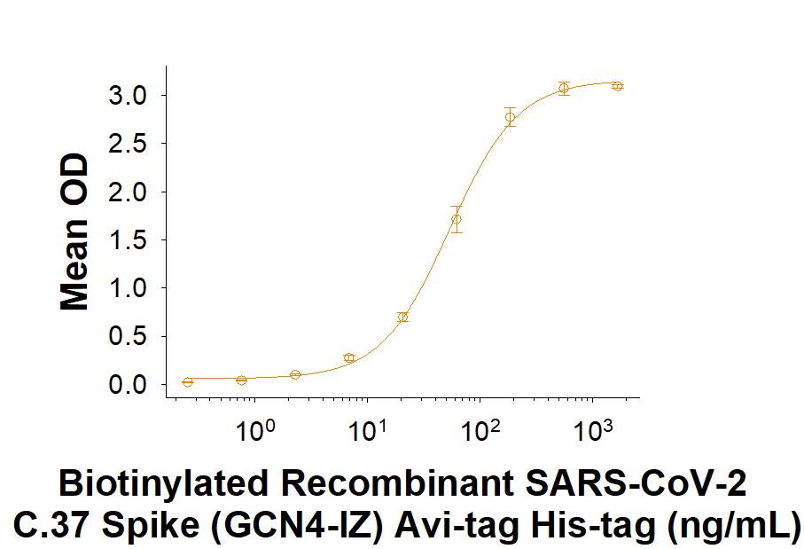 Biotinylated Recombinant SARS-CoV-2 C.37 Spike (GCN4-IZ) Avi-tag His-tag (Catalog # AVI10887) binds Recombinant Human ACE-2 Fc Chimera (10544-ZN) in a functional ELISA.