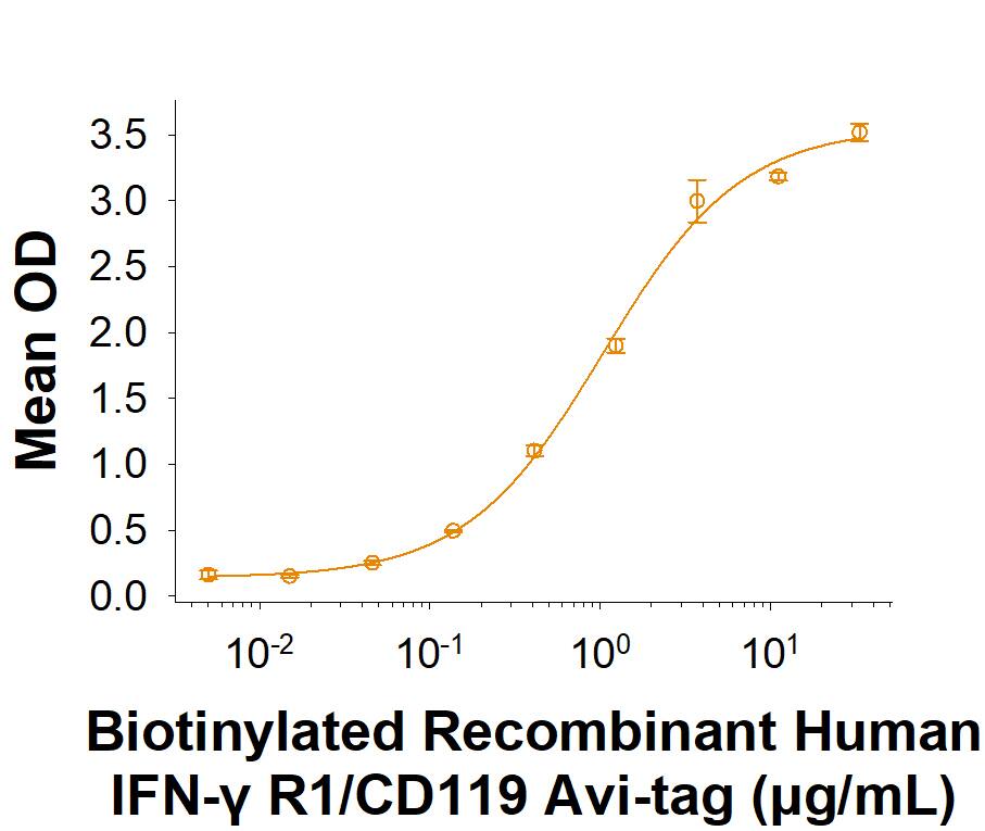 When Recombinant human IFN-gamma (285-IF/CF) is immobilized at 2.00 µg/mL (100 µL/well), In the presence of Recombinant Human IFN-gamma R2, Biotinylated Recombinant Human IFN-gamma R1/CD119 Avi-tag His-tag (Catalog # AVI11030) binds with an ED50 of 0.750-4.50 µg/mL.