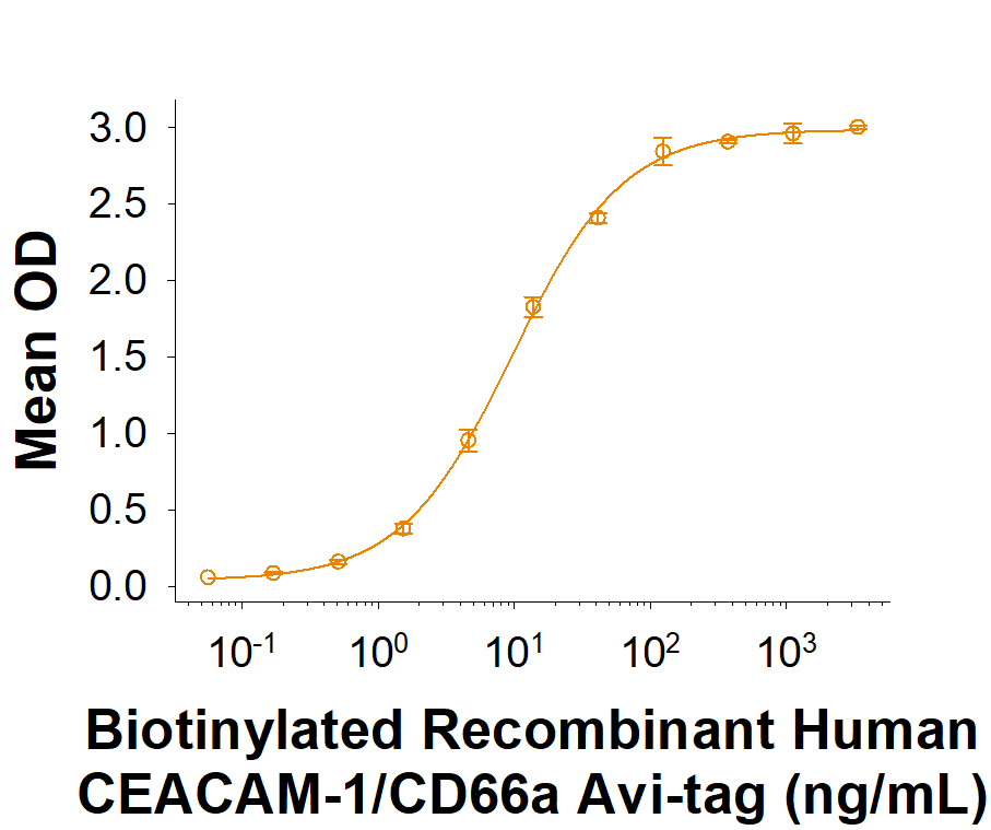 When Recombinant Human CEACAM-1/CD66a (2244-CM) is immobilized at 0.5 µg/mL (100 µL/well), Biotinylated Recombinant Human CEACAM-1/CD66a Fc Chimera Avi-tag Protein (Catalog # AVI11074) binds with an ED50 of 5.00-50.0 ng/mL.