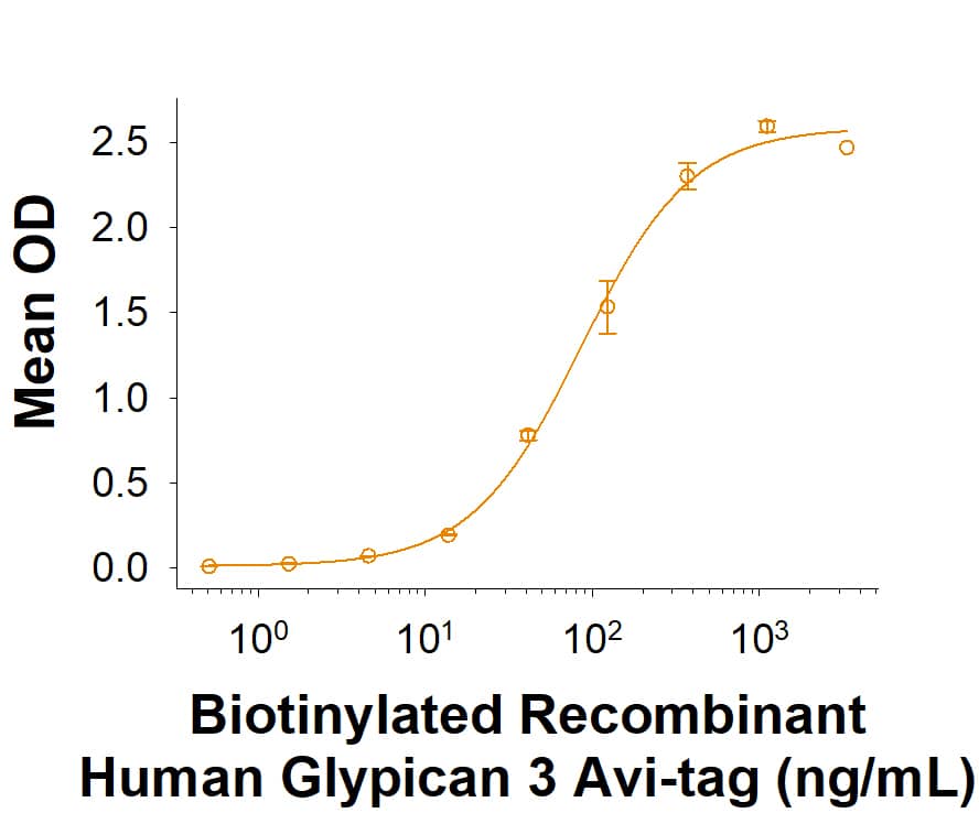 In a functional ELISA, Biotinylated Recombinant Human Glypican 3 Fc Chimera Avi-tag Protein (Catalog # AVI11078) binds to Recombinant Human FGF basic/FGF2/bFGF (233-FB/CF) with an ED50 of 60.0-720 ng/mL.