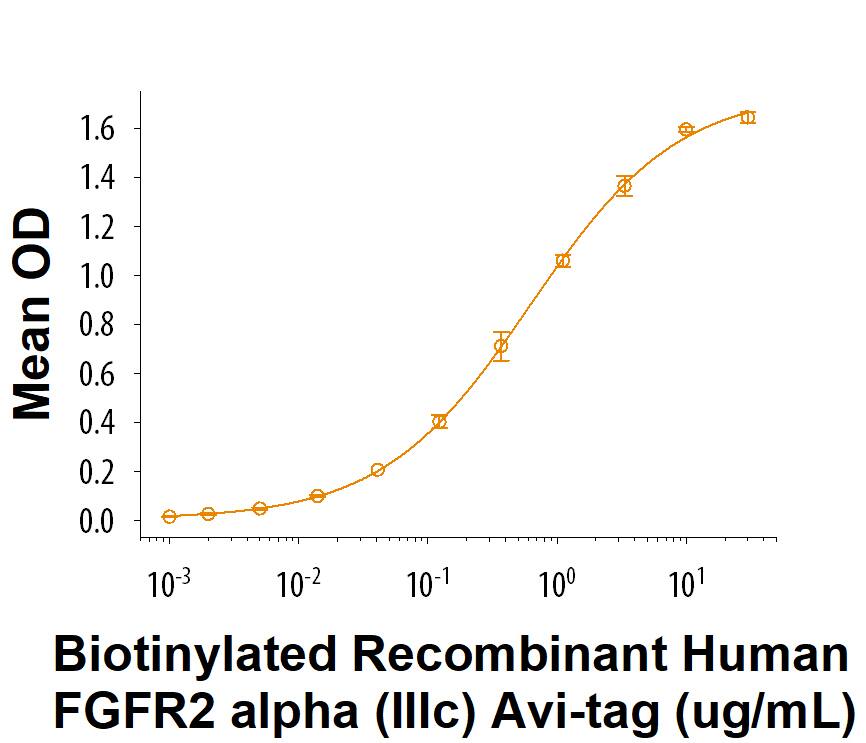 Measured by its binding ability in a functional ELISA. When Recombinant Human FGF acidic/FGF1 (aa 16-155) Protein (232-FA) is present at 50.0 ng/mL (100 μL/well), Biotinylated Recombinant Human FGFR2 alpha (IIIc) His-tag Avi-tag binds with an ED50 of 0.300-3.00 μg/mL.