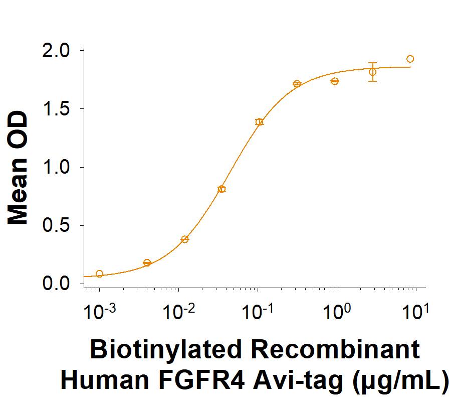 Measured by its binding ability in a functional ELISA. When recombinant human FGF acidic/FGF1 (232-FA/CF) is in the presence at 50.0 ng/mL, 100 μL/well,  Recombinant Human FGFR4 His-tag Avi-tag Protein (Catalog # AVI11120) binds with an ED50 of 20.0-120 ng/mL. 
