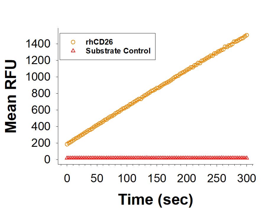 Recombinant Human DPPIV/CD26 Fc Chimera Avi-tag (Catalog # AVI11141) is measured by its ability to cleave the fluorogenic peptide substrate, Gly-Pro-7-amido-4-methylcoumarin (GP-AMC). 