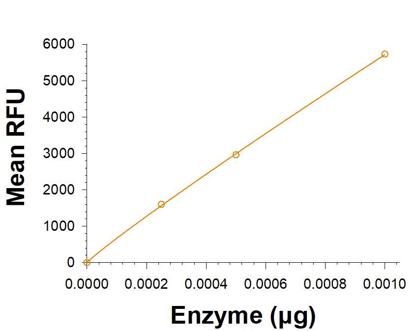 Biotinylated Recombinant Human  alpha ‑L‑Iduronidase/IDUA His-tag Avi-tag Protein (Catalog # AVI11180) is measured by its ability to cleave a fluorogenic substrate, 4-Methylumbelliferyl  alpha -L-iduronide. 