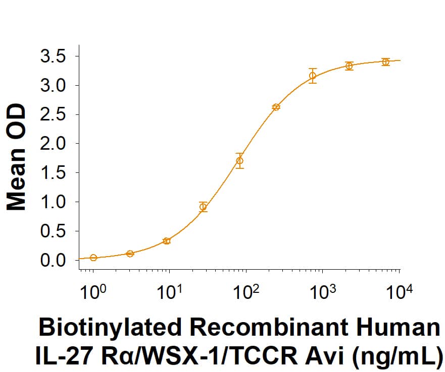 When Recombinant Human IL-27 Protein (2526-IL/CF) is immobilized at 4 µg/mL (100 µL/well), Biotinylated Recombinant Human IL-27 R alpha /WSX-1/TCCR Avi-tag His-tag Protein (Catalog # AVI11270) binds with an ED50 of 30.0-360 ng/mL.