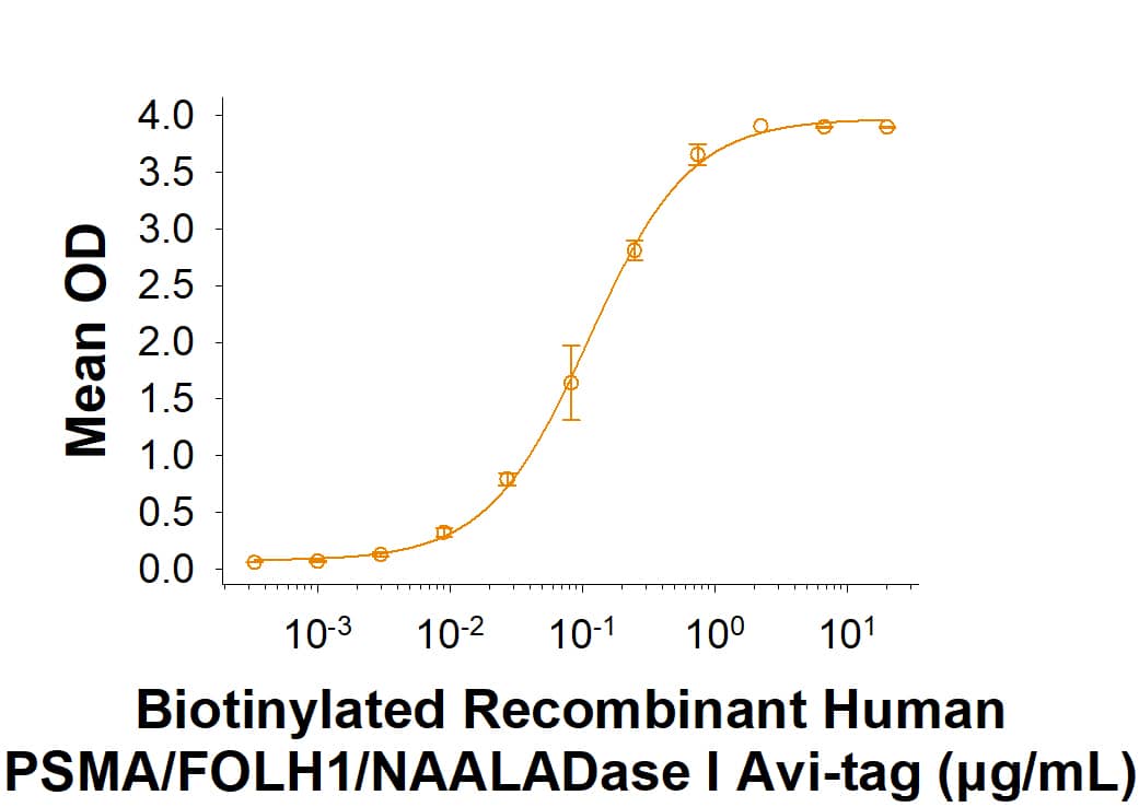 Binding Activity PSMA/FOLH1/NAALADase I [Biotin]