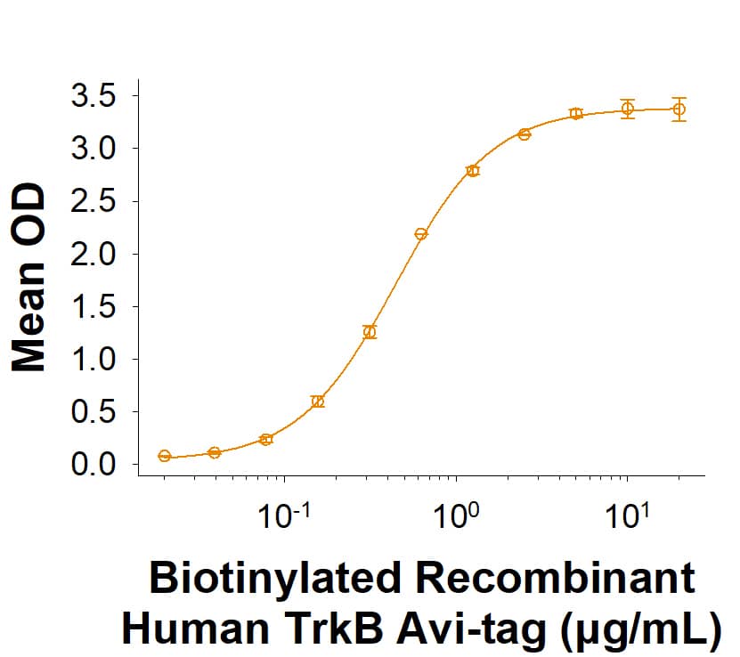 Biotinylated Recombinant Human TrkB His-tag Avi-tag Protein (Catalog # AVI11549) binds Recombinant Human BDNF (BT-BDNF) with an ED50 of ≤ 5.00 μg/mL.