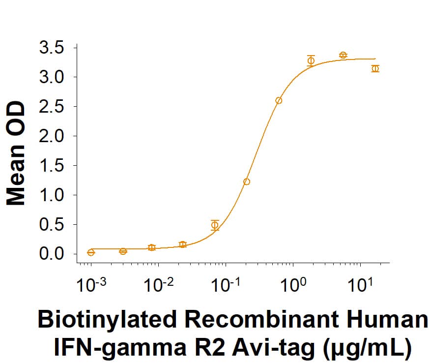 Biotinylated Recombinant Human IFN-gamma R2 His-tag Avi-tag (Catalog # AVI11576) binds Recombinant Human IFN-gamma  (285-IF) in the presence of Recombinant Human IFN-gamma  R1/CD119 (673-IR/CF) with an ED50 of 0.100‑1.50 μg/mL.