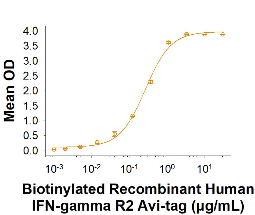 Biotinylated Recombinant Human IFN-gamma R2 Fc Chimera Avi-tag (Catalog # AVI11578) binds Recombinant Human IFN-gamma  (285-IF) in the presence of Recombinant Human IFN-gamma  R1/CD119 (673-IR/CF) with an ED50 of 0.0800-1.20 μg/mL.