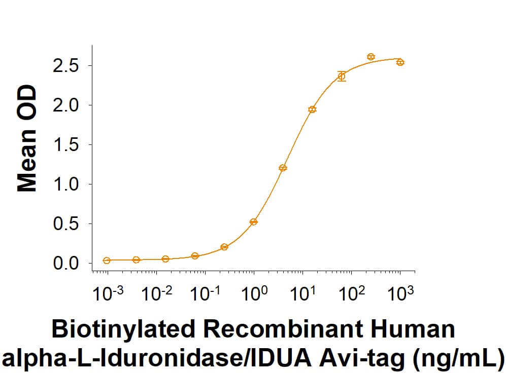 Measured by its binding ability in a functional ELISA. Recombinant Human alpha-L-Iduronidase/IDUA Fc Chimera Avi-tag Protein (Catalog # AVI11613) binds to Human alpha -L-Iduronidase/ IDUA Antibody (AF4119) with an ED50 of 2.00‑20.0 ng/mL.