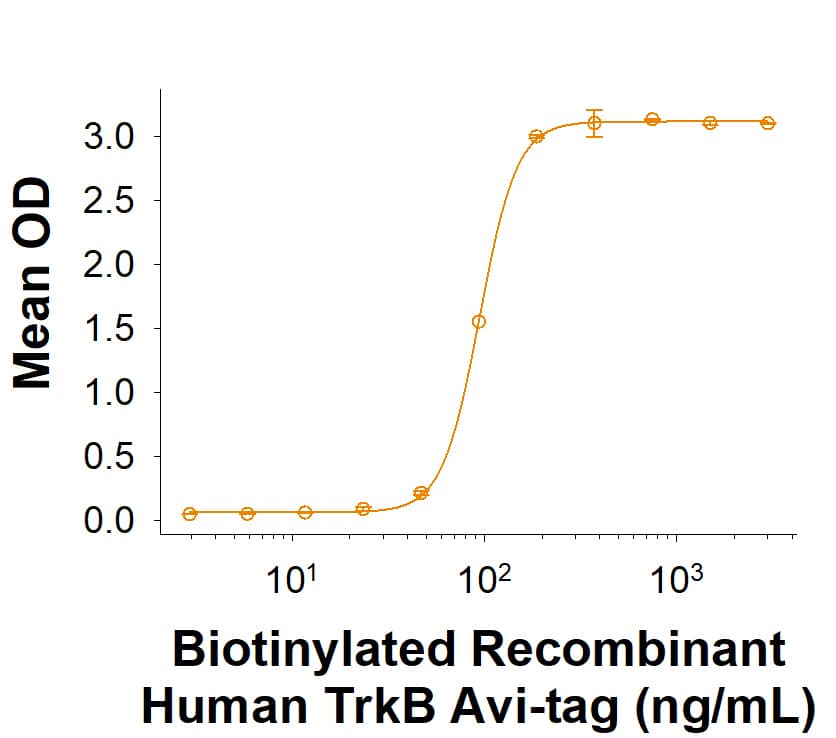 Biotinylated Recombinant Human TrkB Fc Chimera Avi-tag Protein (Catalog # AVI11645) binds Recombinant Human BDNF (BT-BDNF) with an ED50 of 25.0-375 ng/mL.