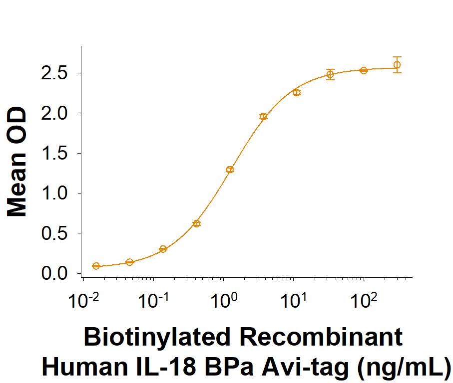 In a Human IL‑18/IL‑1F4 Antibody (MAB91244) coated plate, Biotinylated Recombinant Human IL‑18 BPa Fc Chimera Avi-tag protein (Catalog # AVI119) binds to Recombinant Human IL‑18/IL‑1F4 (9124-IL) with an ED50 of 1.00-6.00 ng/mL