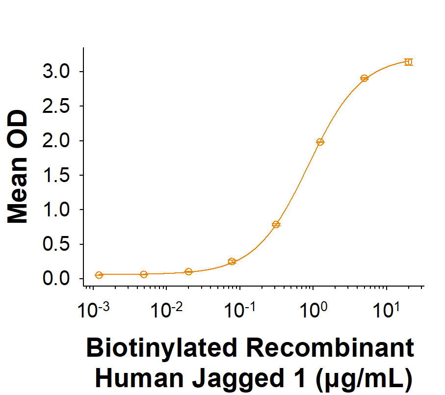 When Recombinant Human Notch‑1 Fc Chimera (3647-TK) is immobilized at 1.00 µg/mL (100 µL/well), Biotinylated Recombinant Human Jagged 1 Fc Chimera Avi-tag Protein (Catalog # AVI1277) binds with an ED50 of 0.500-2.50 µg/mL.