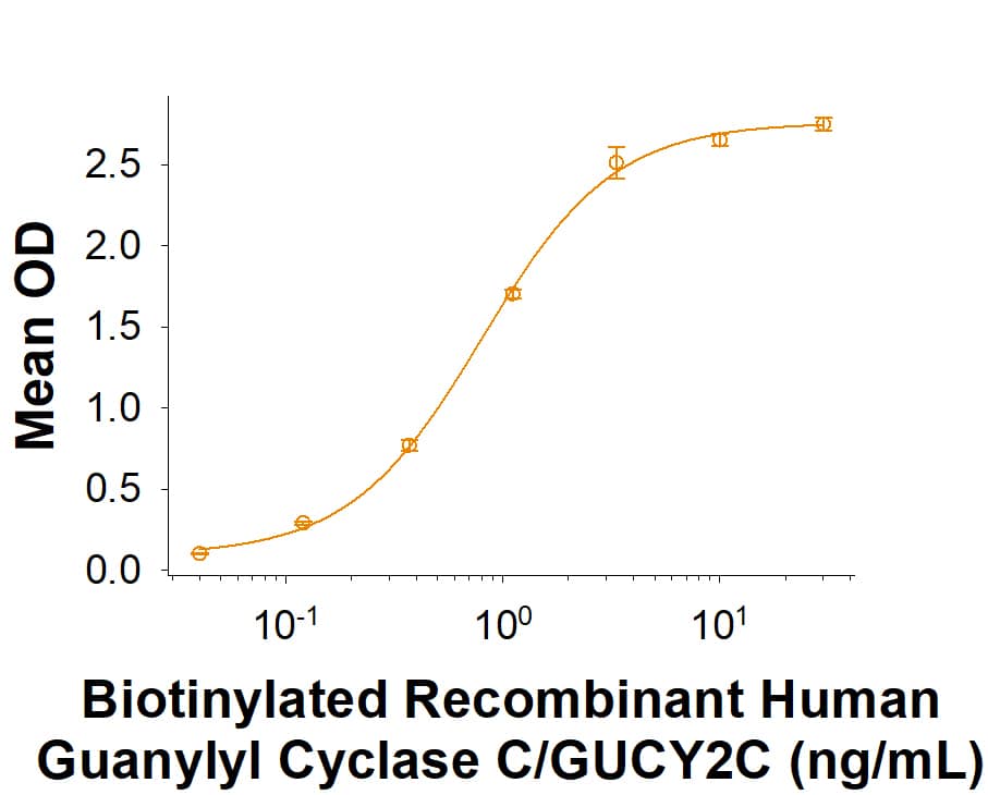 Binding Activity GUCY2C [Biotin]