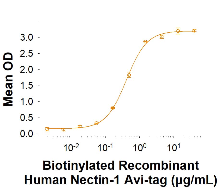 When Recombinant Human Nectin-3 Protein  (3064-N3) is immobilized at 3.0 μg/mL (100 μL/well), the concentration of Biotinylated Recombinant Human Nectin‑1 His-tag Avi-tag Protein (Catalog # AVI2880) that produces 50% of the optimal binding response is 0.100-1.00 μg/mL