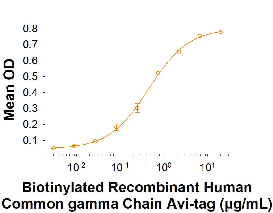 Binding Activity Common gamma Chain/IL-2 R gamma [Biotin]