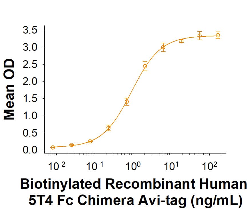 Binding Activity 5T4 [Biotin]