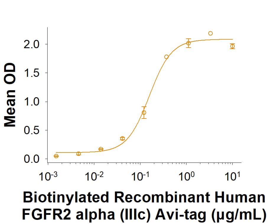 In a Human FGF acidic/FGF1 antibody (AF232) coated plate, in the presence of 50.0 ng/mL of Recombinant Human FGF acidic/FGF1 (232-FA), Biotinylated Recombinant Human FGFR2 alpha (IIIc) Fc Avi-tag Protein (Catalog # AVI712) binds with an ED50 of 0.0750‑0.450 µg/mL.