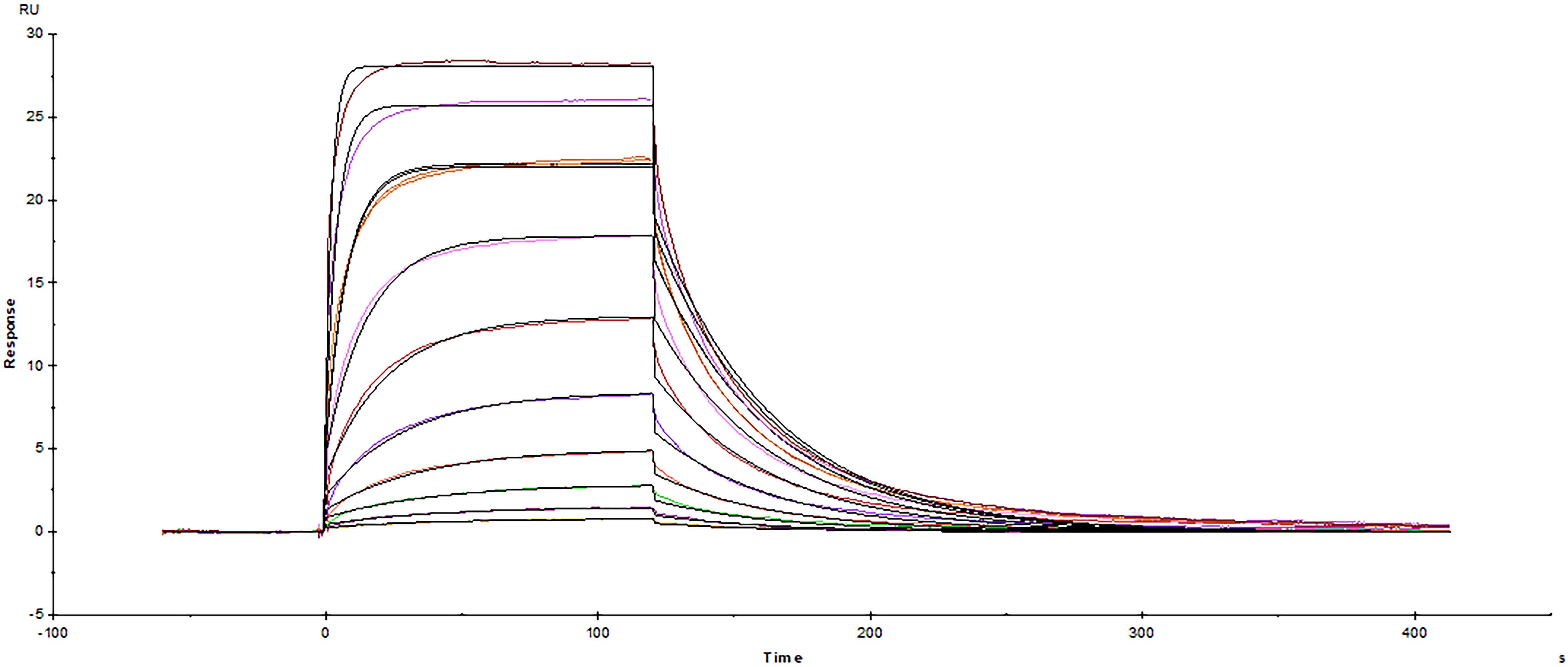 Avi-tag Biotinylated Recombinant Human Fc gamma RIIIA His protein (Catalog # AVI8894) was immobilized on a Biacore Sensor Chip CM5 via the Avi-tag biotin, and binding to Normal Human IgG was measured at a concentration range between 10.4 nM and 6.67 µM. The double-referenced sensorgram was fit to a 1:1 binding model to determine the binding kinetics and affinity, with an affinity constant of KD=0.379 µM.