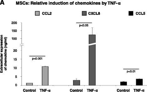 TNF-alpha  upregulates the inflammatory profile of MSCs via receptors TNF-RI and TNF-RII. (A) Relative induction of CCL2, CXCL8 and CCL5 in MSCs by TNF-alpha . Human BM-derived MSCs were stimulated by TNF-alpha  (50 ng/ml) for 24 hours and the expression of the inflammatory chemokines CCL2, CXCL8 and CCL5 in supernatants of MSCs was determined by ELISA, in the linear range of absorbance. Results are from an experiment in which all three chemokines were analyzed in parallel, and the ratios between the three chemokines are representatives of the values obtained in many experimental repeats. (B) Human BM-derived MSCs were exposed to neutralizing antibodies against tumor necrosis factor receptors TNF-RI and TNF-RII or nonrelevant isotype-matched control antibodies (Control Ab) 1 hour prior to stimulation with TNF-alpha  (50 ng/ml), and in the course of 24 hours of stimulation by the cytokine. Control, cells stimulated with vehicle. Expression of CCL2 was determined by ELISA, in the linear range of absorbance. The findings are representatives of at least n = 3 independent experiments that have shown similar results. Image collected and cropped by CiteAb from the following publication (//stemcellres.biomedcentral.com/articles/10.1186/s13287-015-0080-7), licensed under a CC-BY license. Not internally tested by R&D Systems.