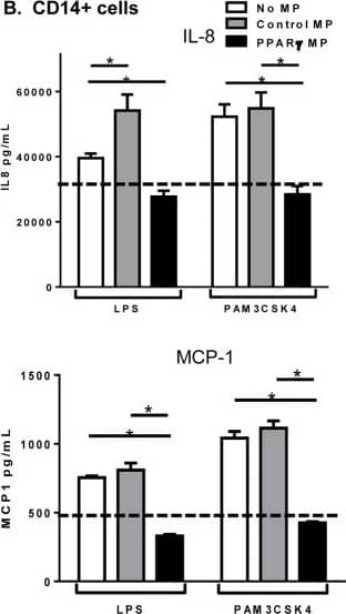 Microparticle composition influences inflammatory cytokine production from activated monocytes.THP-1 cells (A) or CD14 sorted blood monocytes (B) were treated with control microparticles (grey bars) or PPAR gamma -overexpressing microparticles (black bars) or no microparticles (white bars) for 4 hours before activation with LPS or PAM3CSK4 for 24 hours. Supernatants were collected and pro-inflammatory cytokines IL-8 (top), MCP-1 (bottom) were measured by ELISA. Dotted line represents baseline cytokine production from unactivated cells with no microparticle exposure. Mean values with standard errors represent one of at least 3 experiments. Two-way ANOVA with Tukey's multiple comparison post test was performed to determine statistical significance. * indicates (p<0.05). Image collected and cropped by CiteAb from the following publication (//pubmed.ncbi.nlm.nih.gov/25426628), licensed under a CC-BY license. Not internally tested by R&D Systems.